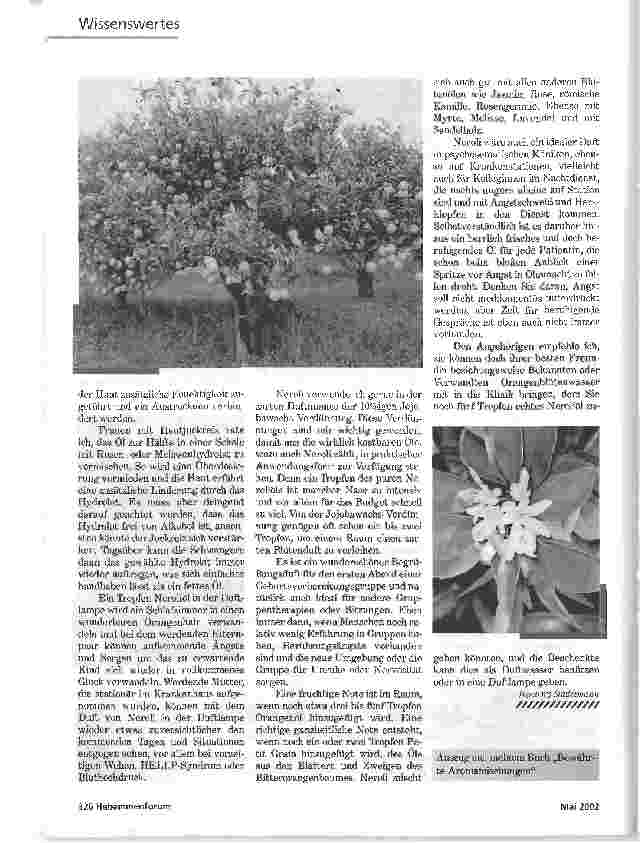 Vorschauseite 2: KOLUMNEERSTE HILFE AUS DEM ORANGENHAINNeroli - Citrus aurantium ssp. aurantium
