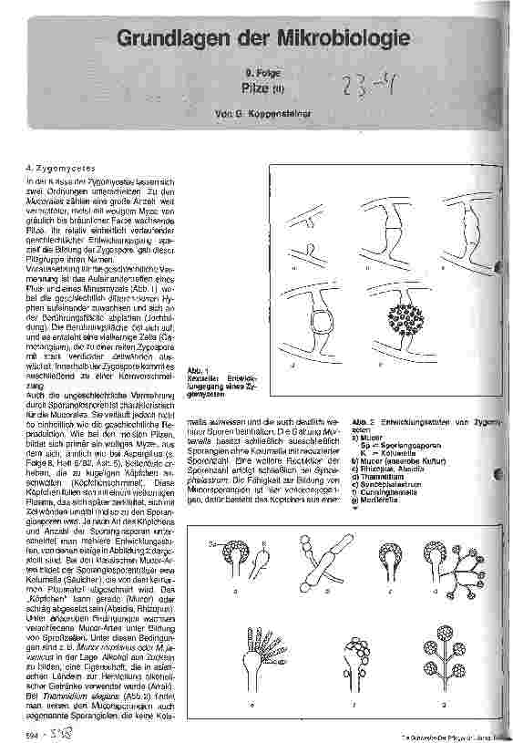 Vorschauseite 1: Grundlagen der Mikrobiologie