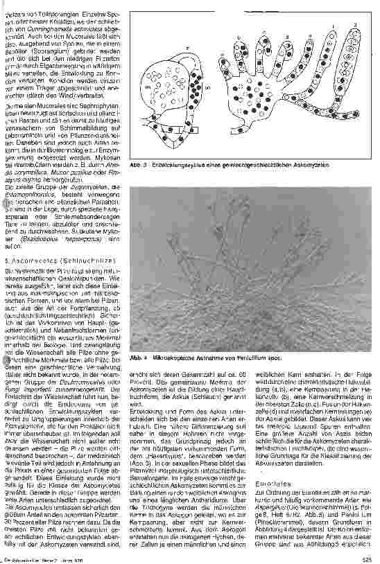Vorschauseite 2: Grundlagen der Mikrobiologie