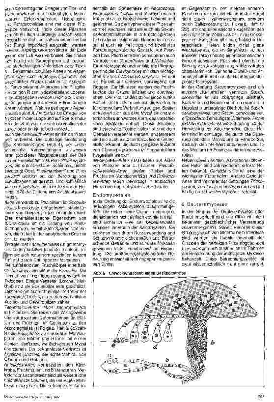 Vorschauseite 4: Grundlagen der Mikrobiologie