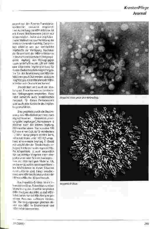 Vorschauseite 2: Erregerspektrum der chronischen Virushepatitis - HBV, HCV und neue Kandidaten