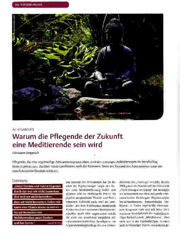 Vorschauseite 1: Warum die Pflegende der Zukunft eine Meditierende sein wird