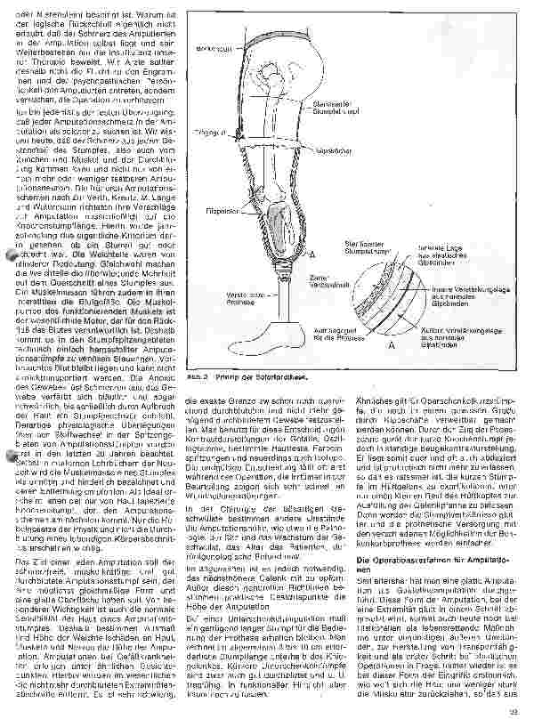 Vorschauseite 2: Moderne Entwicklung in der Orthopädie 3. Folge: