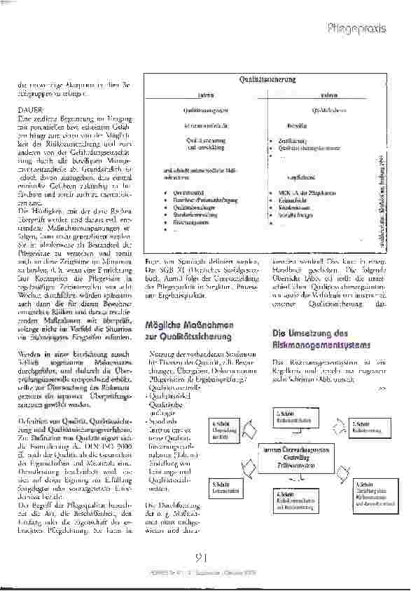 Vorschauseite 2: Risk-Management in der professionellen Pflege
