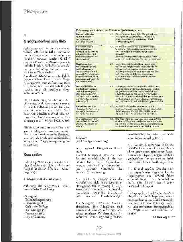 Vorschauseite 3: Risk-Management in der professionellen Pflege