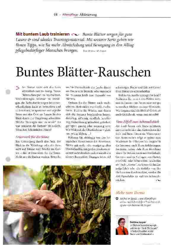 Vorschauseite 1: Buntes Blätter-Rauschen