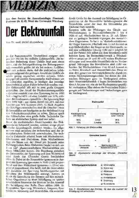 Vorschauseite 1: Der Elktrounfall