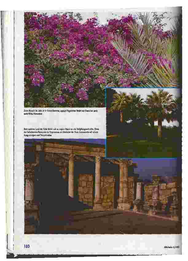 Vorschauseite 3: Altenhilfe in Israel Altenheim-Studienreise Teil 1