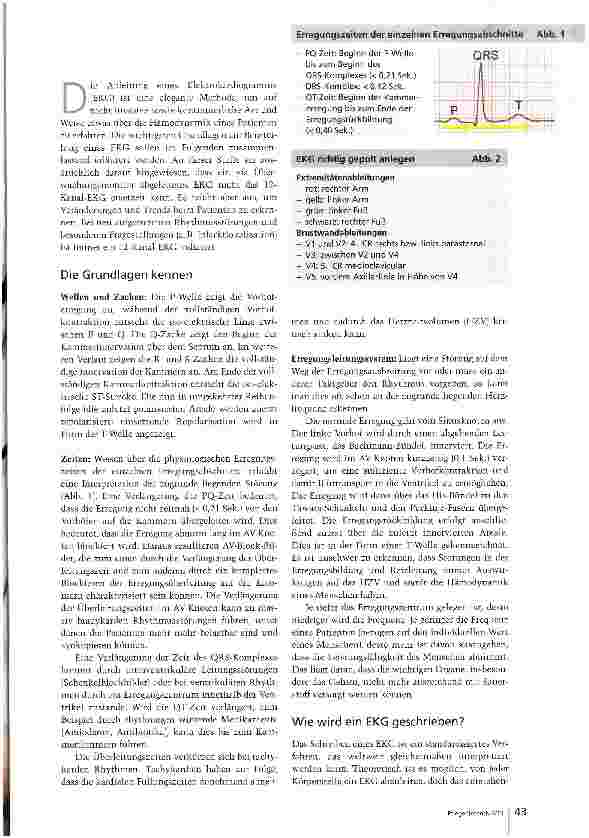 Vorschauseite 2: EKGs richtig interpretieren