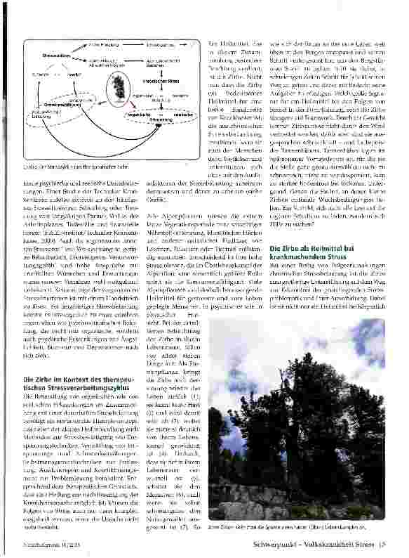 Vorschauseite 2: Zirbe als Heilmittel bei Folgen von chronischem Stress
