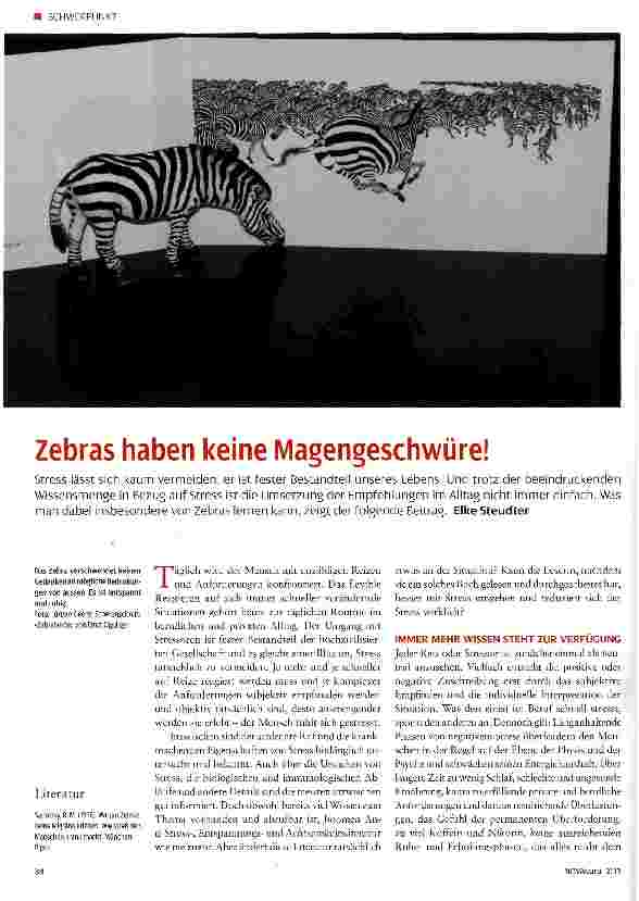 Vorschauseite 1: Zebras haben keine Magengeschwüre!