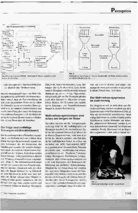 Vorschauseite 2: Förderung der kinästhetischen und auditiven Perzeption in der Therapie - Neue Ansätze mit alternativen Hilfsmittel -