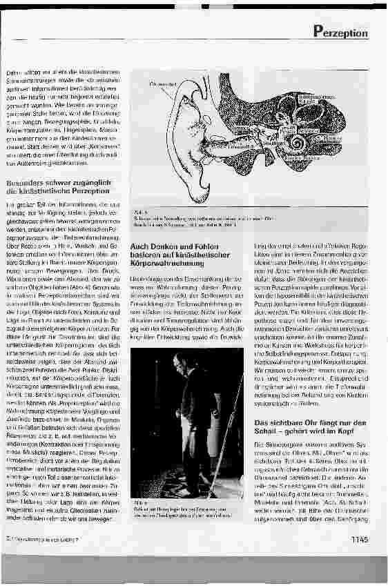 Vorschauseite 4: Förderung der kinästhetischen und auditiven Perzeption in der Therapie - Neue Ansätze mit alternativen Hilfsmittel -