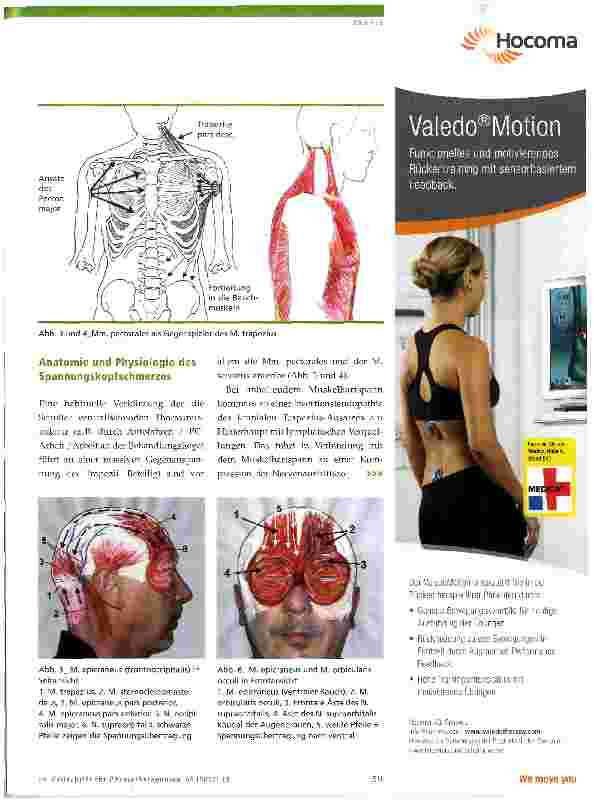 Vorschauseite 2: Zur Anatomie und Therapie des Spannungskopfschmerzes