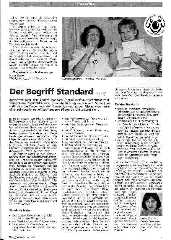 Vorschauseite 1: Der Begriff Standard