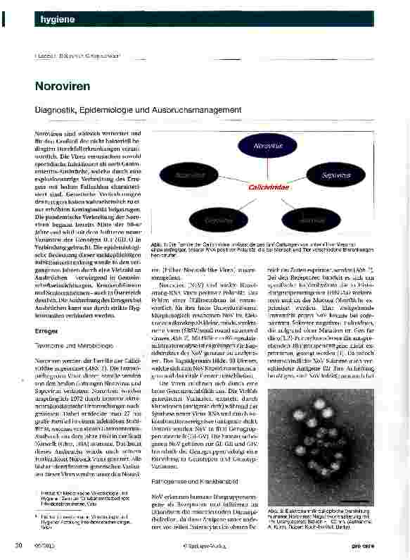 Vorschauseite 1: Noroviren