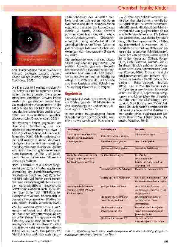 Vorschauseite 2: Die Erfahrungen von Patienten mit Neurofibromatose Typ 1 und deren Familien oder Bezugspersonen
