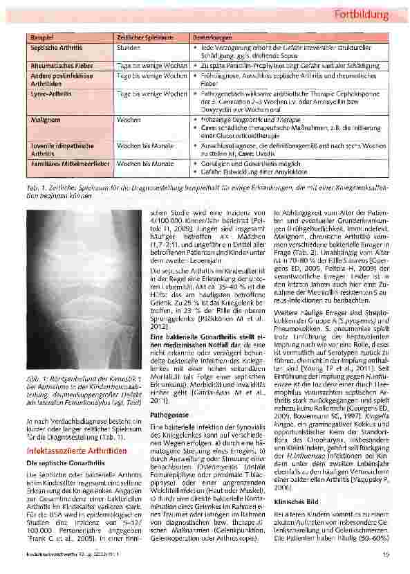 Vorschauseite 2: Das dicke Knie
