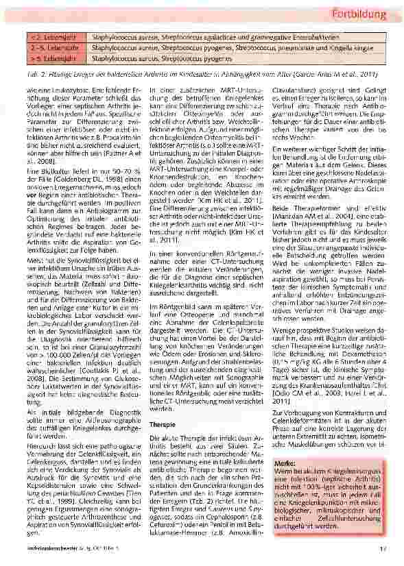 Vorschauseite 4: Das dicke Knie