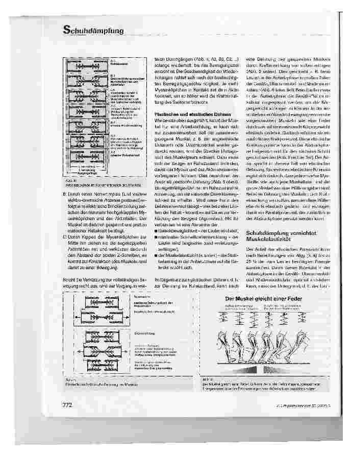 Vorschauseite 3: Körpereigene Muskelelastizität kontra Schuhdämpfung