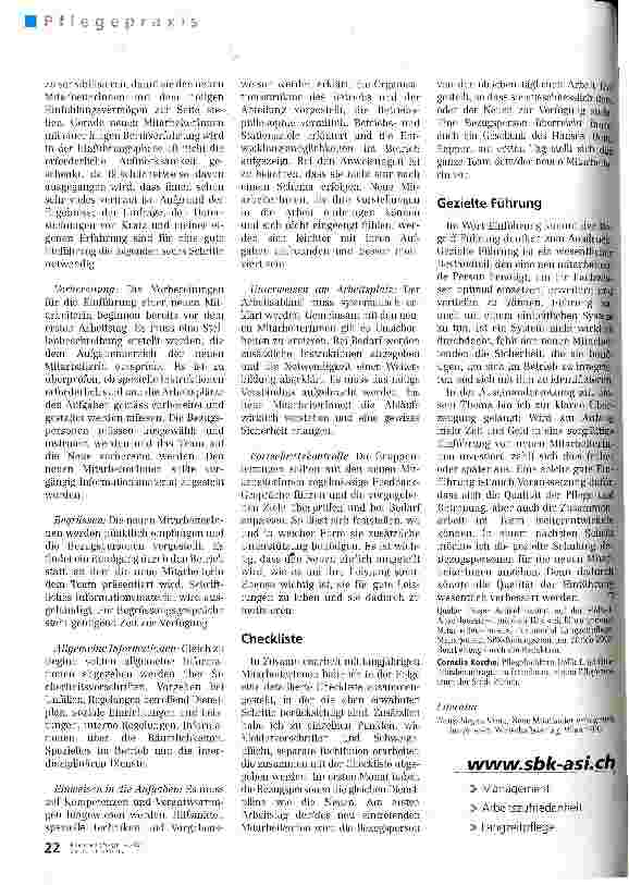 Vorschauseite 3: Einführung verlangt Führung