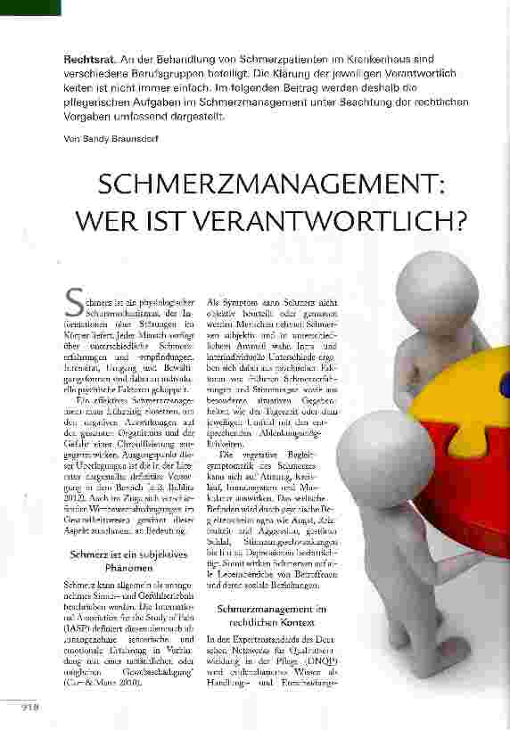 Vorschauseite 1: SCHMERZMANAGEMENT: WER IST VERANTWORTLICH?