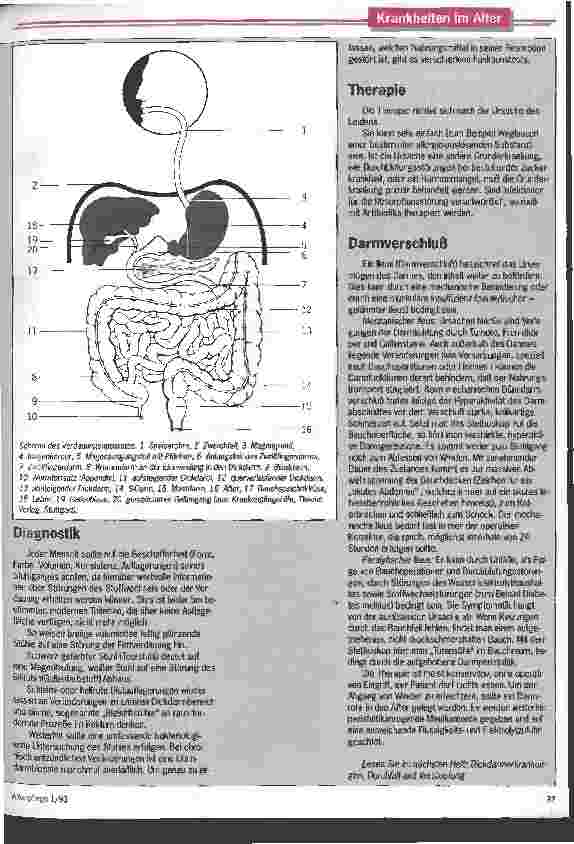 Vorschauseite 2: Darmverschluß ist lebensbedrohlich