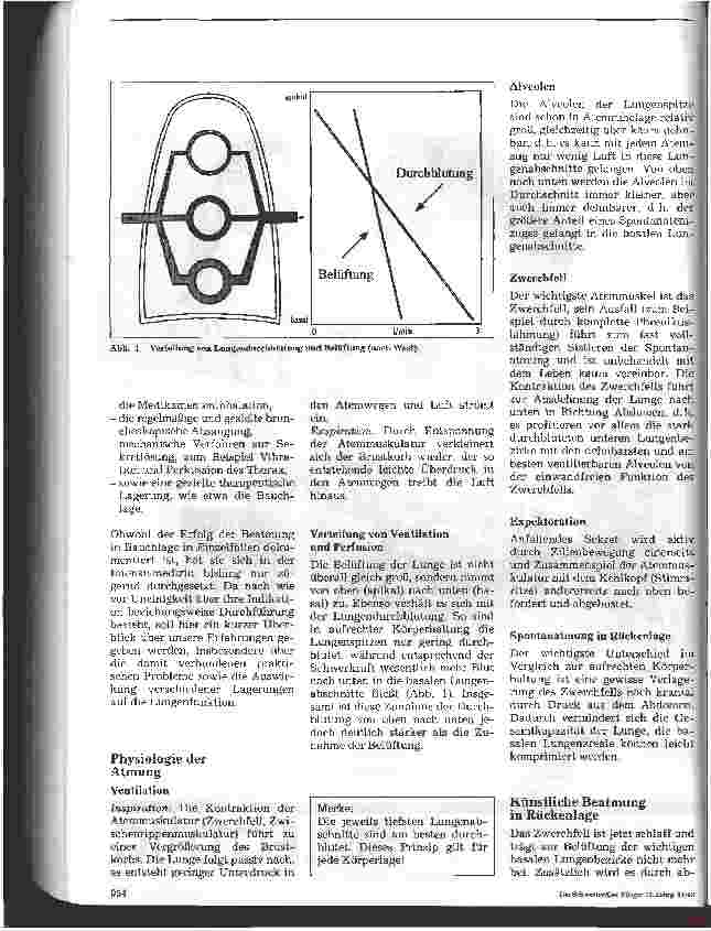 Vorschauseite 2: Beatmung in Bauchlage Durchführung, Indikation, Auswirkung