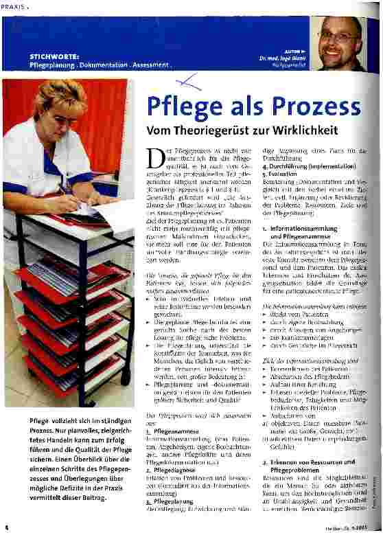Vorschauseite 1: Pflege als Prozess Vom Theoriegerüst zur Wirklichkeit