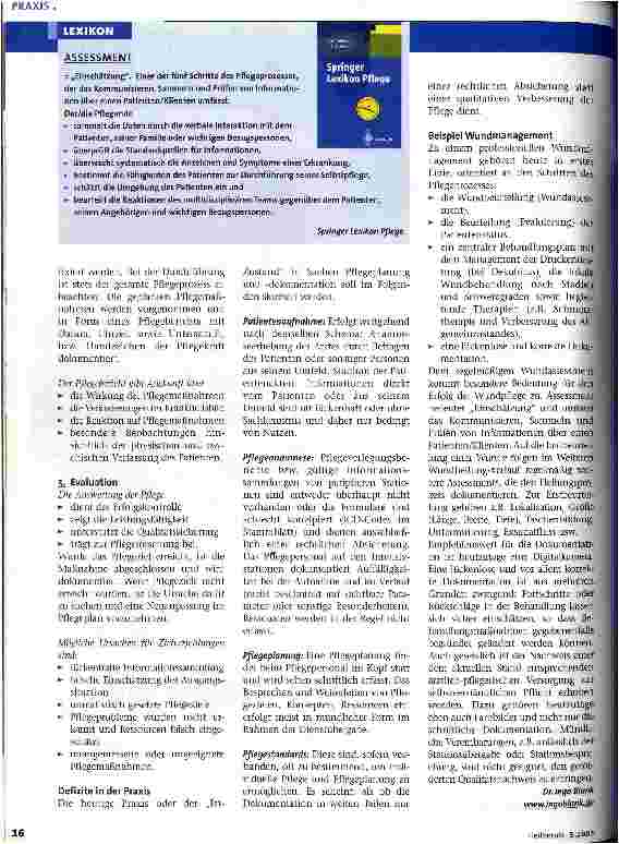 Vorschauseite 3: Pflege als Prozess Vom Theoriegerüst zur Wirklichkeit