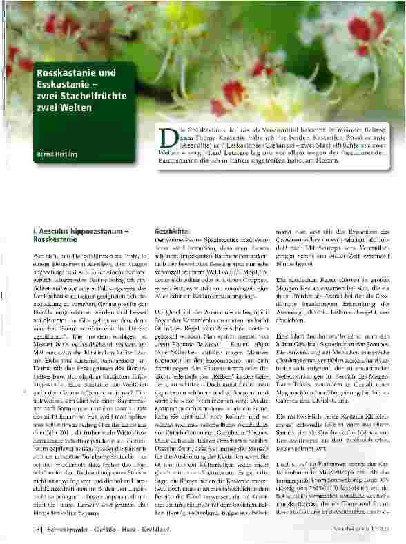 Vorschauseite 1: Rosskastanie und Esskastanie -zwei Stachelfrüchte zwei Welten