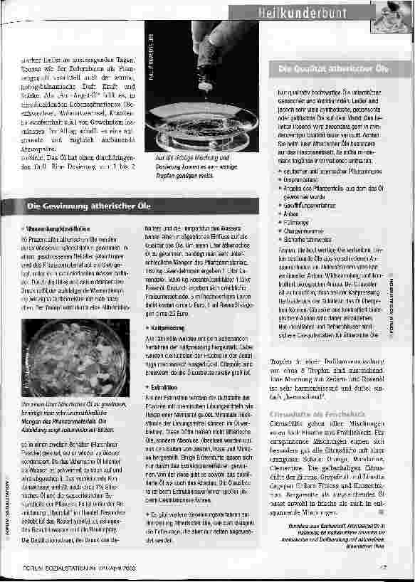 Vorschauseite 3: Duftoasen schaffen Wie Gerüche unsere Gefühle und Gedanken beeinflussen
