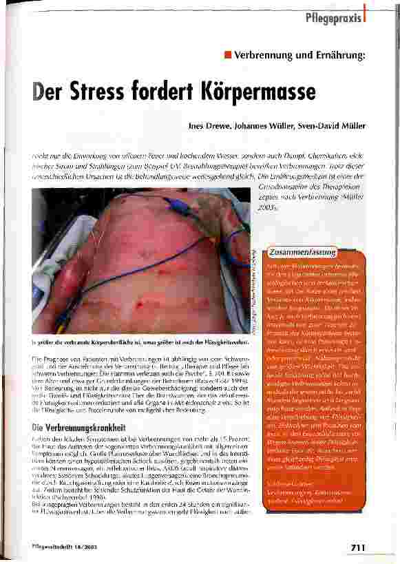 Vorschauseite 1: Der Stress fordert Körpermasse