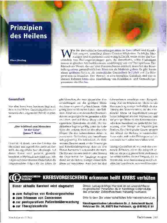 Vorschauseite 1: Prinzipien des Heilens