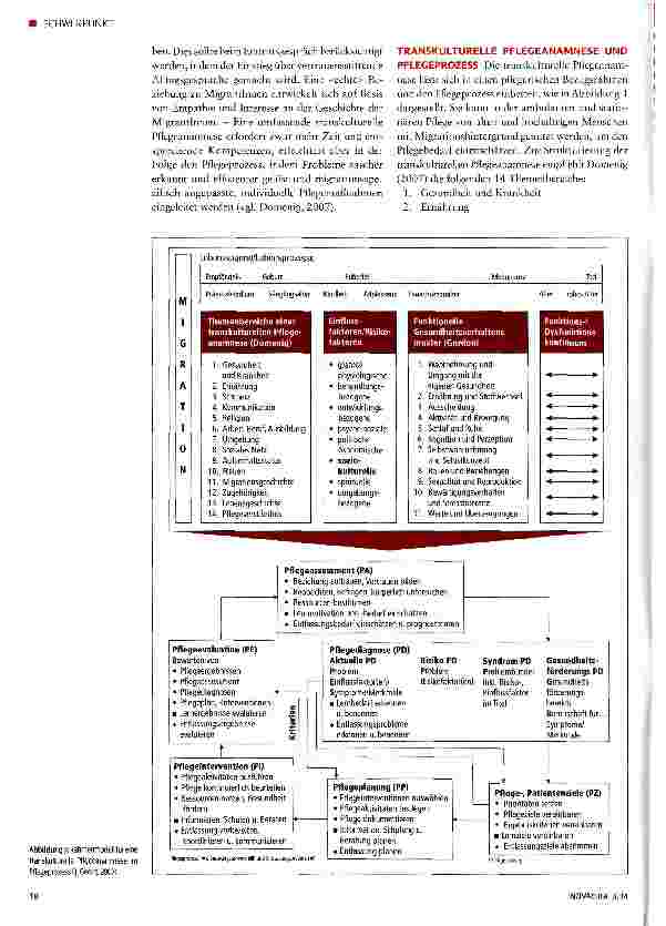 Vorschauseite 2: Transkulturelle Pflegeanamnese und Pflegediagnostik