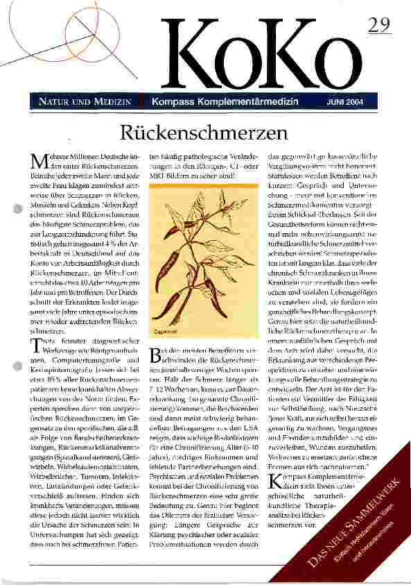 Vorschauseite 1: Rückenschmerzen