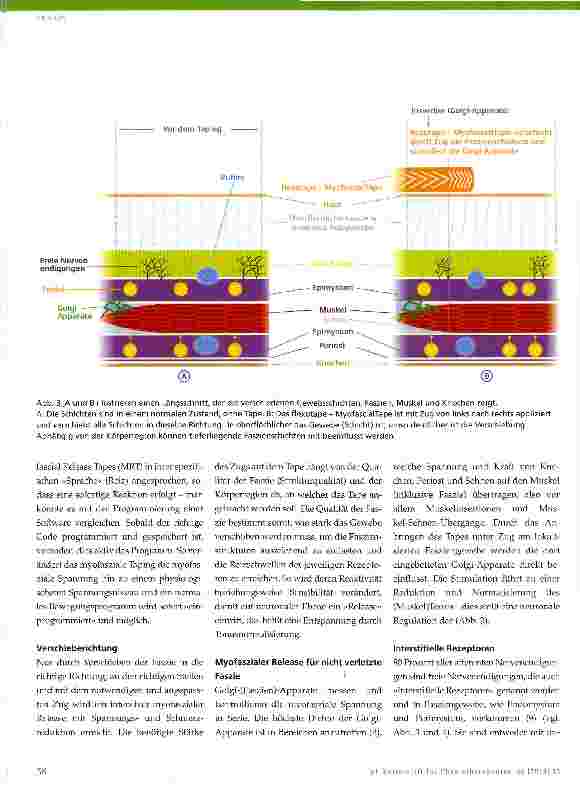 Vorschauseite 5: Myofasziales Taping