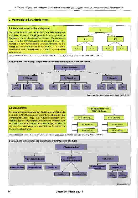 Vorschauseite 4: Strukturformen beispielhaft umgesetzt am Thema „Prozessorientiertes Wundmanagement