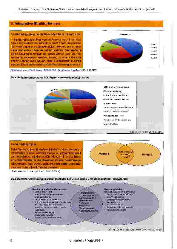 Vorschauseite 6: Strukturformen beispielhaft umgesetzt am Thema „Prozessorientiertes Wundmanagement