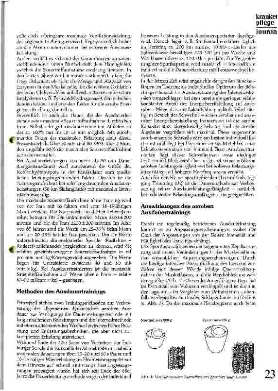Vorschauseite 4: Physiologische Aspekte des Ausdauertrainings
