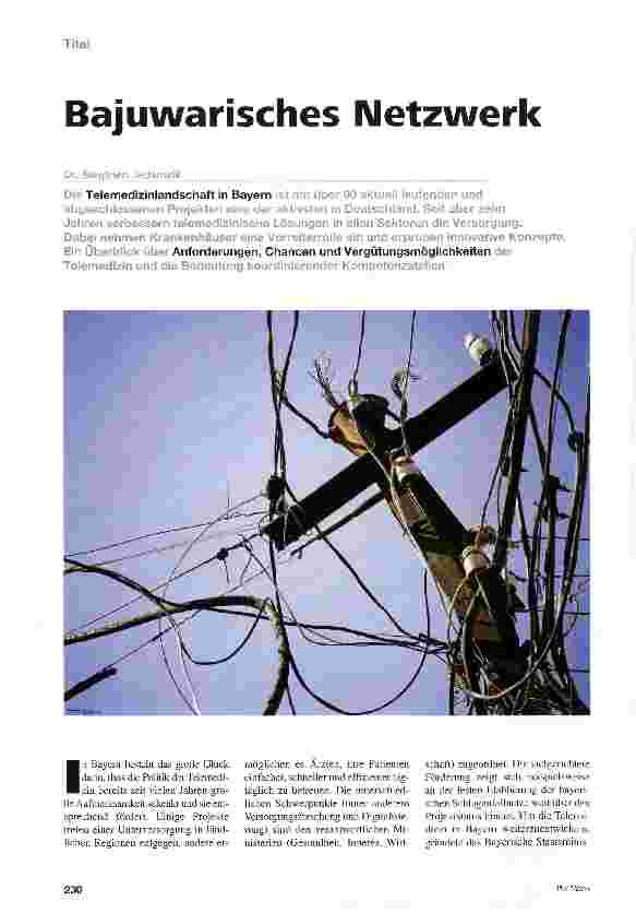 Vorschauseite 1: Bajuwarisches Netzwerk