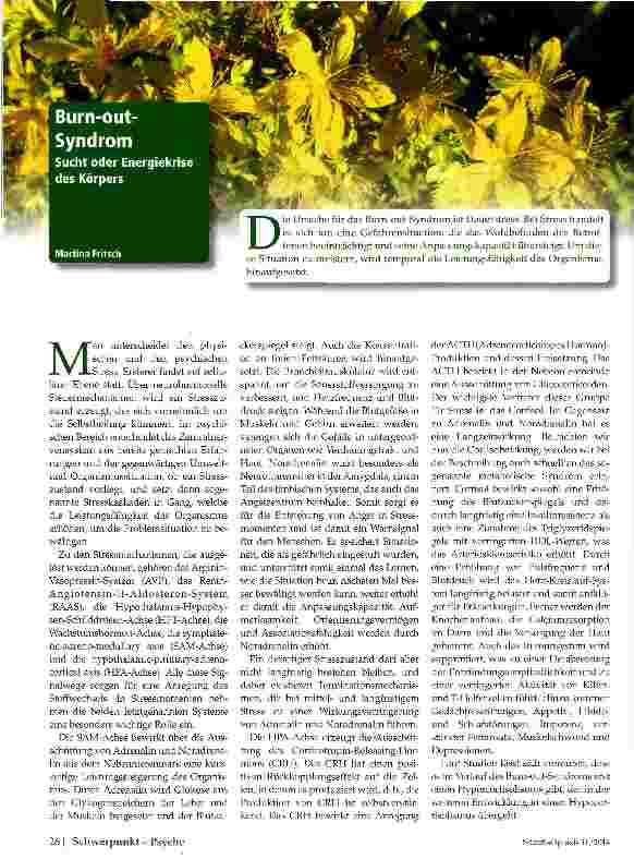 Vorschauseite 1: Burn-out-Syndrom