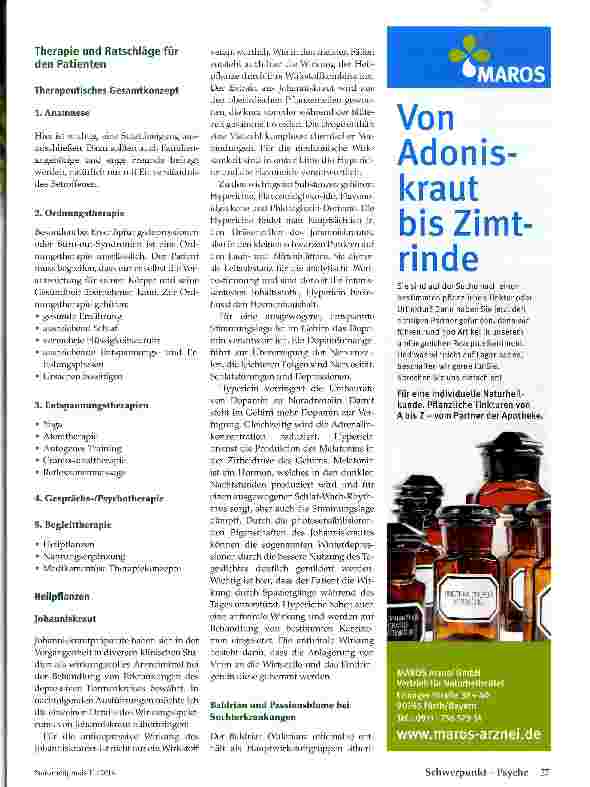 Vorschauseite 2: Burn-out-Syndrom