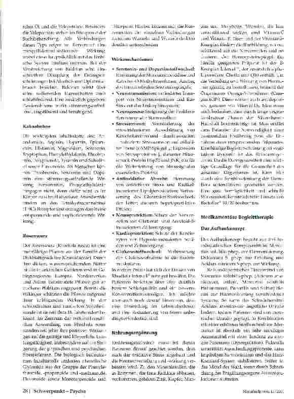 Vorschauseite 3: Burn-out-Syndrom