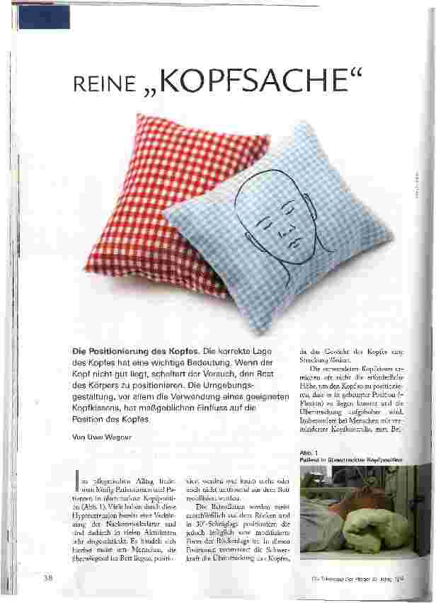 Vorschauseite 1: REINE KOPFSACHE