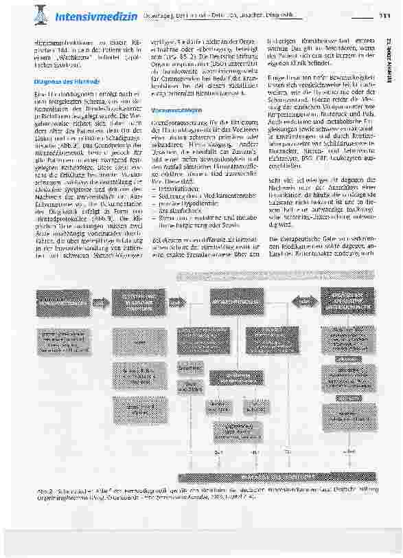 Vorschauseite 3: Der Hirntod - Definition, Ursachen, Diagnostik