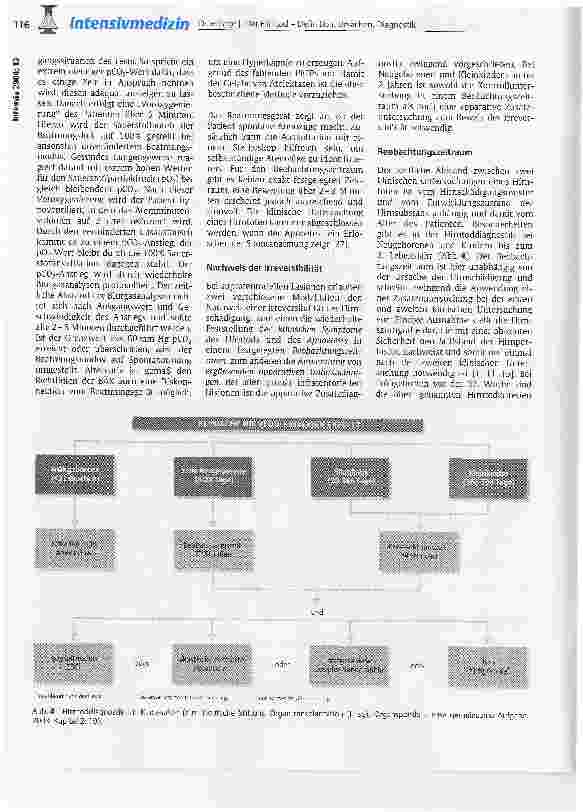 Vorschauseite 5: Der Hirntod - Definition, Ursachen, Diagnostik
