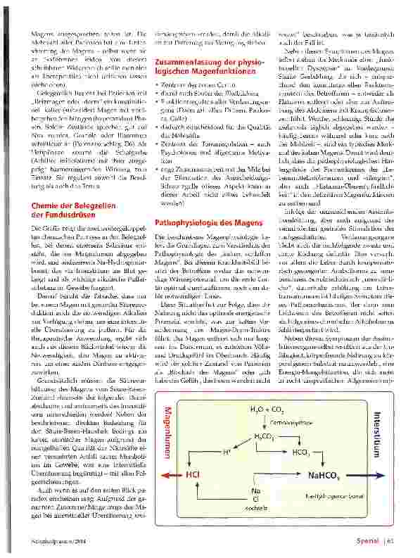 Vorschauseite 2: Der kalte, schlaffe Magen