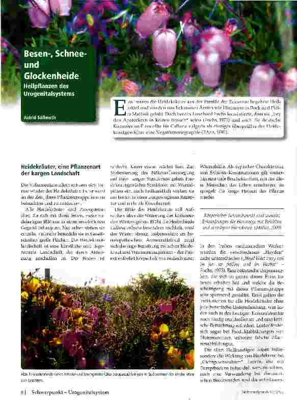 Vorschauseite 1: Besen-, Schneeund Glockenheide