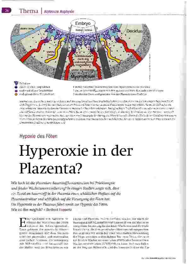 Vorschauseite 1: Hyperoxie in der Plazenta?